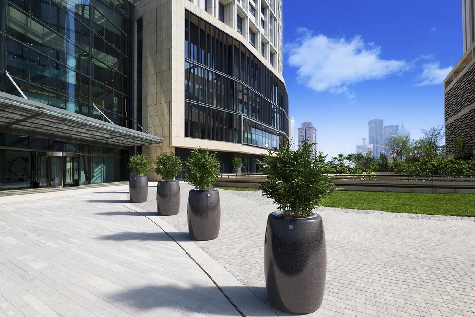 Вазон Пегассо