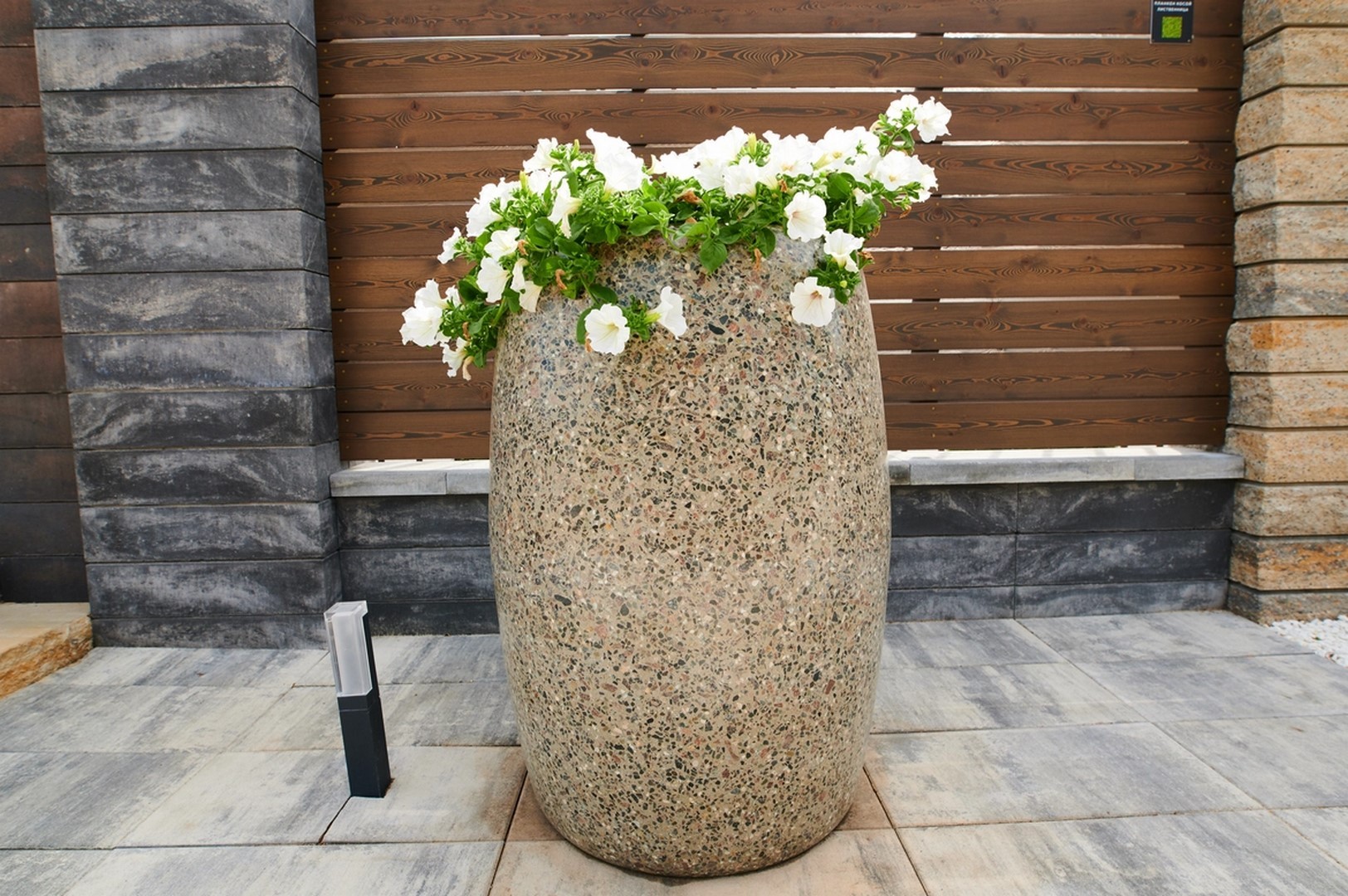 Вазон Пегассо