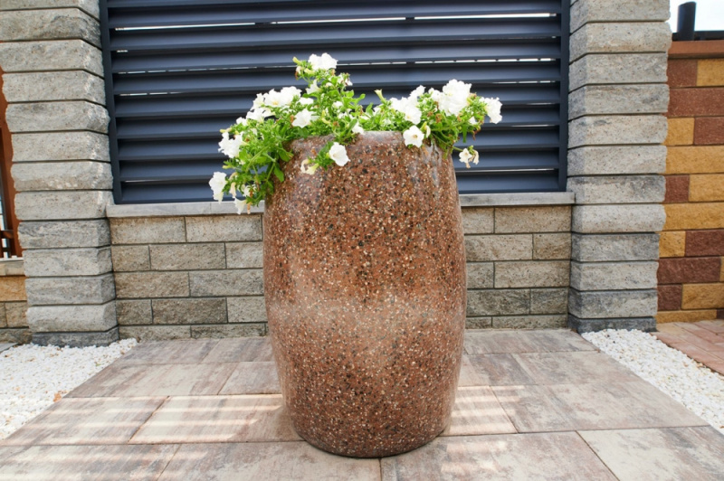 Вазон Пегассо